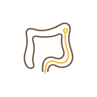 大腸カメラ検査