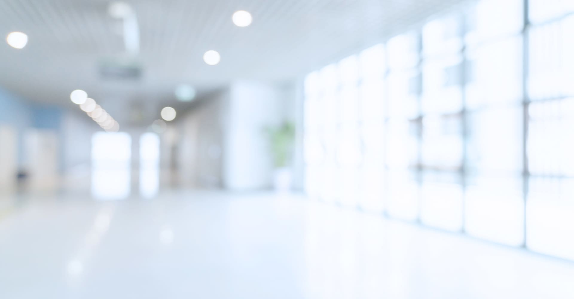 メインビジュアル01(PC)